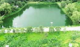 长春莲花山最新爆料,揭秘神秘古墓群背后的历史秘密